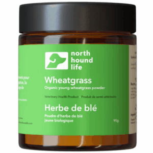 North Hound Life Organic Wheatgrass Dog Supplement