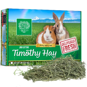 Small Pet Select Second Cut Timothy Hay 10 lb