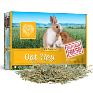 Small Pet Select Second Cut Oat Hay 10 lb