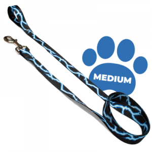 Perri's Blue Lightening Dog Leash