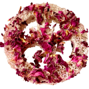 NoFurriesDelights Floral Flavoured  Banana and Rosepetal Loofah Small Animal Edible Chew Toy