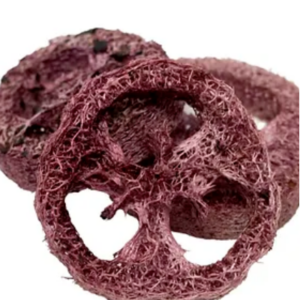 No Furries Delights Berry Flavoured Loofah Small Animal Edible Chew Toy